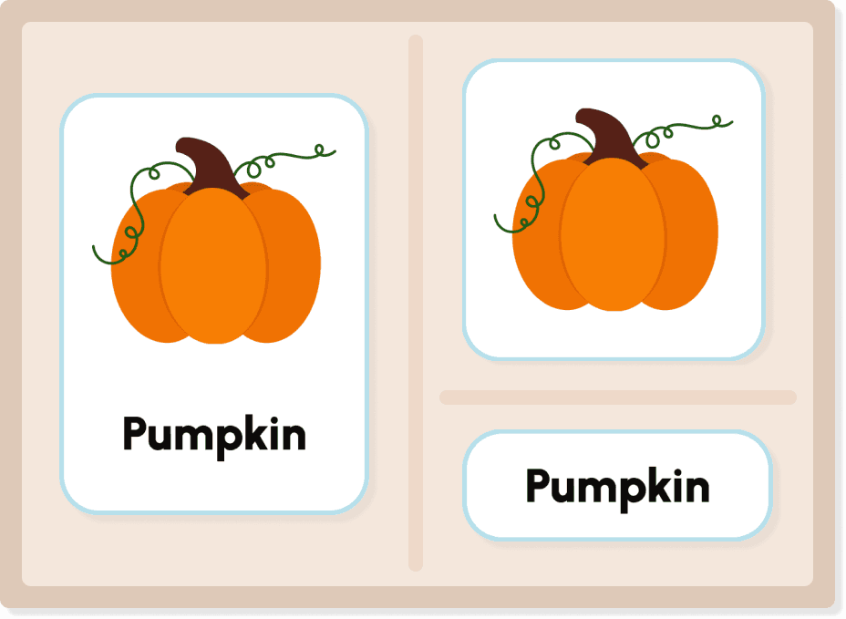 Preview of Parts of a Pumpkin printable cards